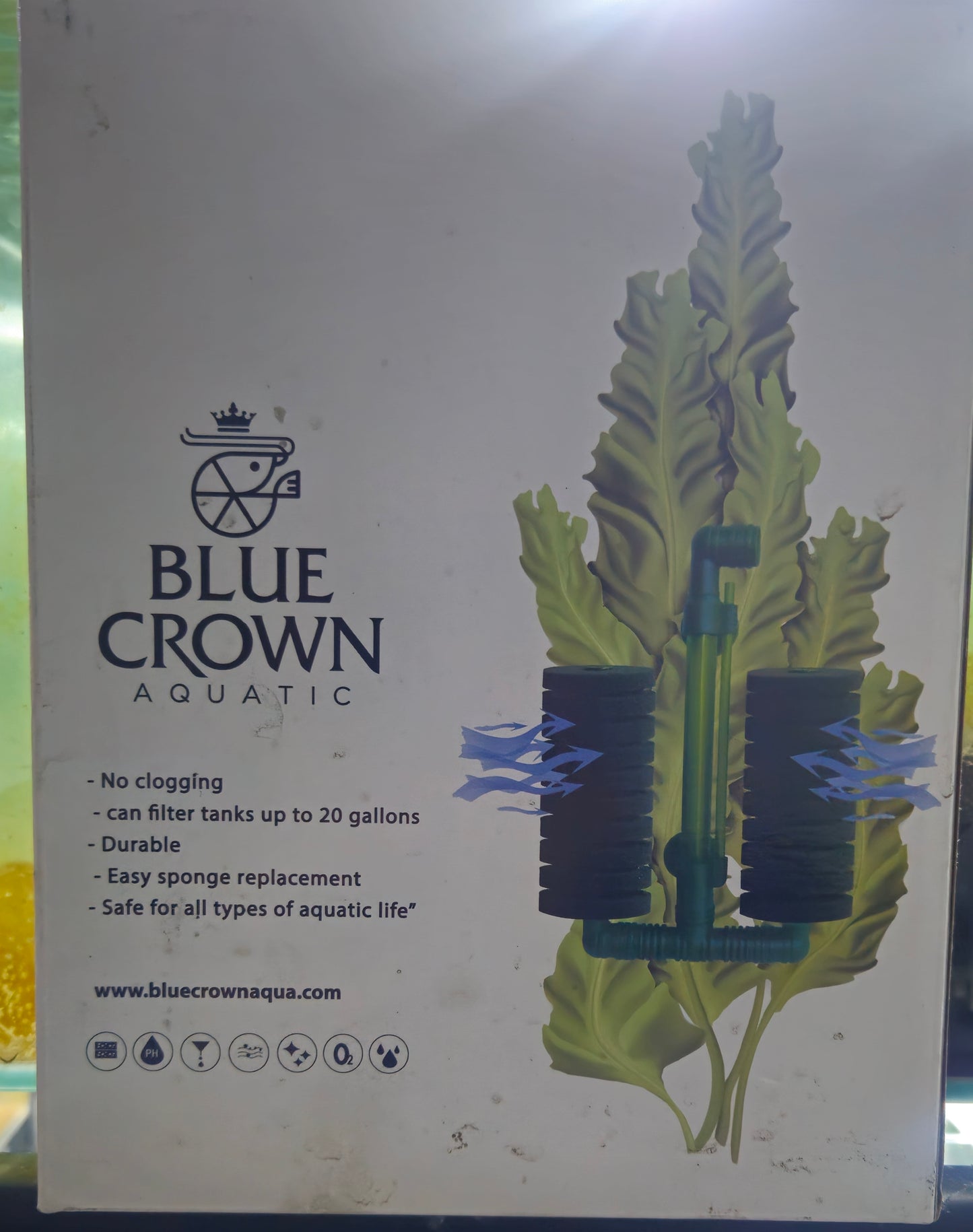 Blue Crown Aqua Sponge Filter