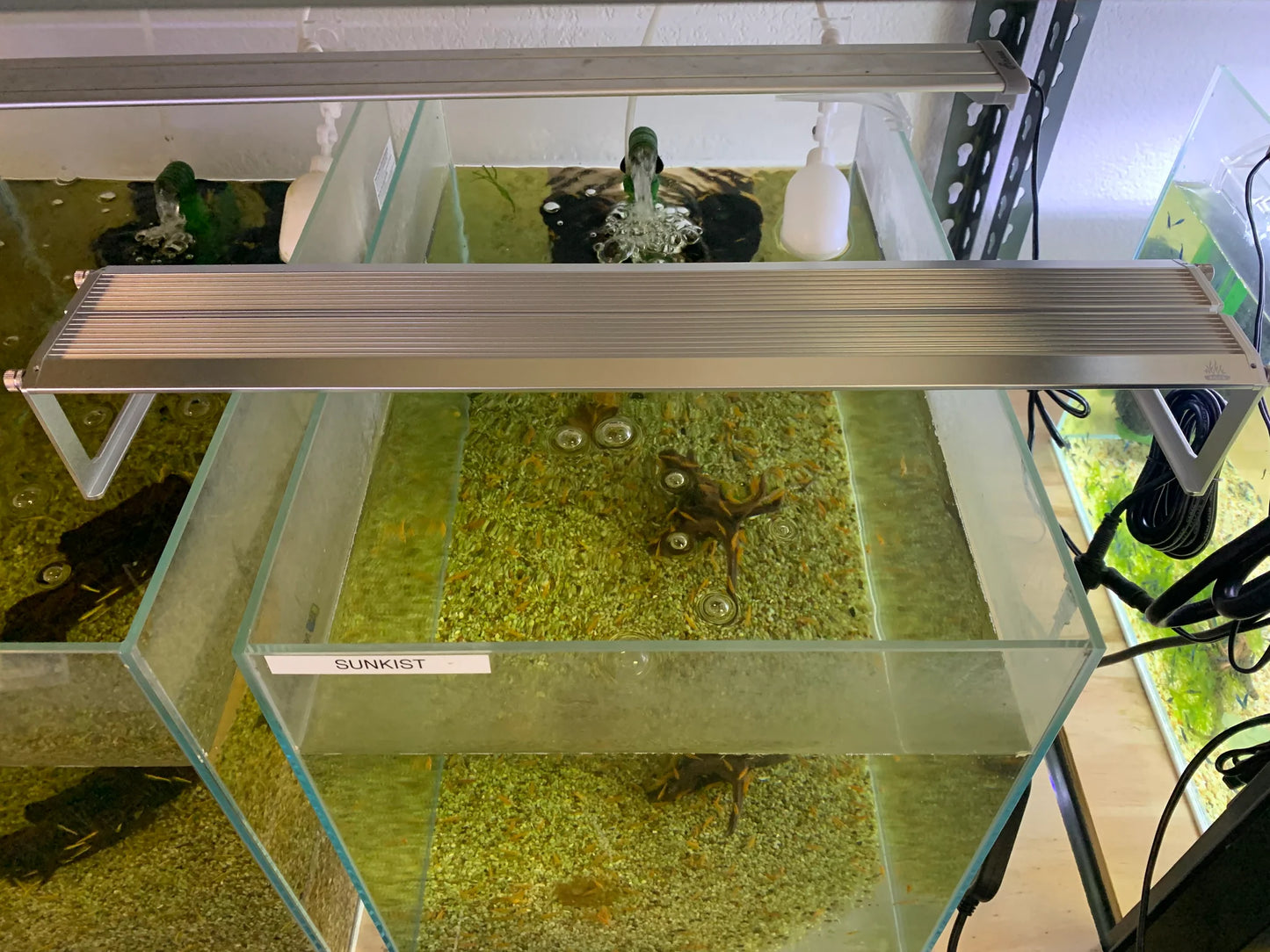 WEEK AQUA FULL SPECTRUM LED AQUARIUM LIGHT
