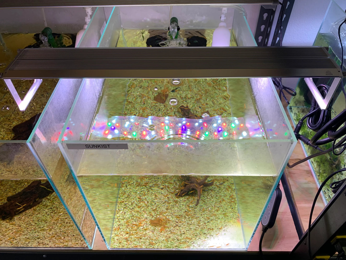 WEEK AQUA FULL SPECTRUM LED AQUARIUM LIGHT