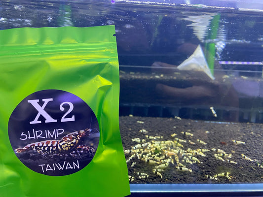 X2 Spirulina Tablets