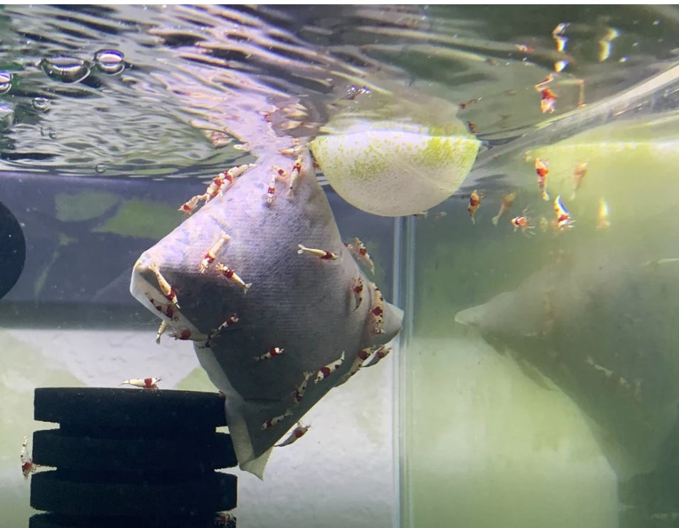 2 pack beneficial bacteria bags