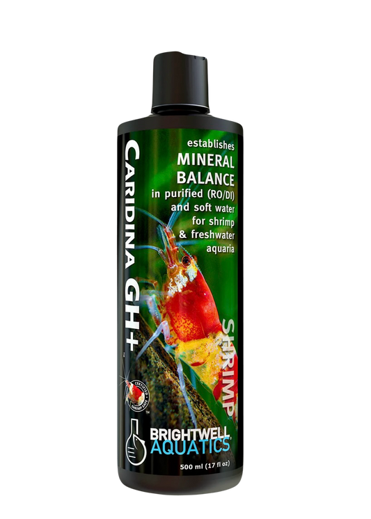 Brightwell Caridina GH+