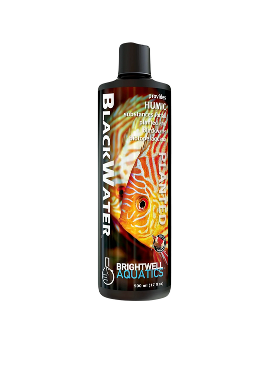 Brightwell Blackwater