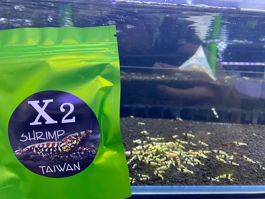 X2 Spirulina Algea Tablets 30 grams