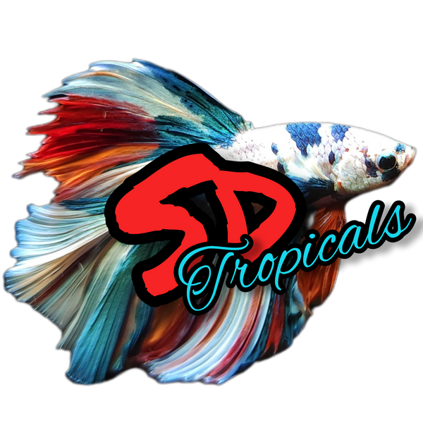 SD Tropicals